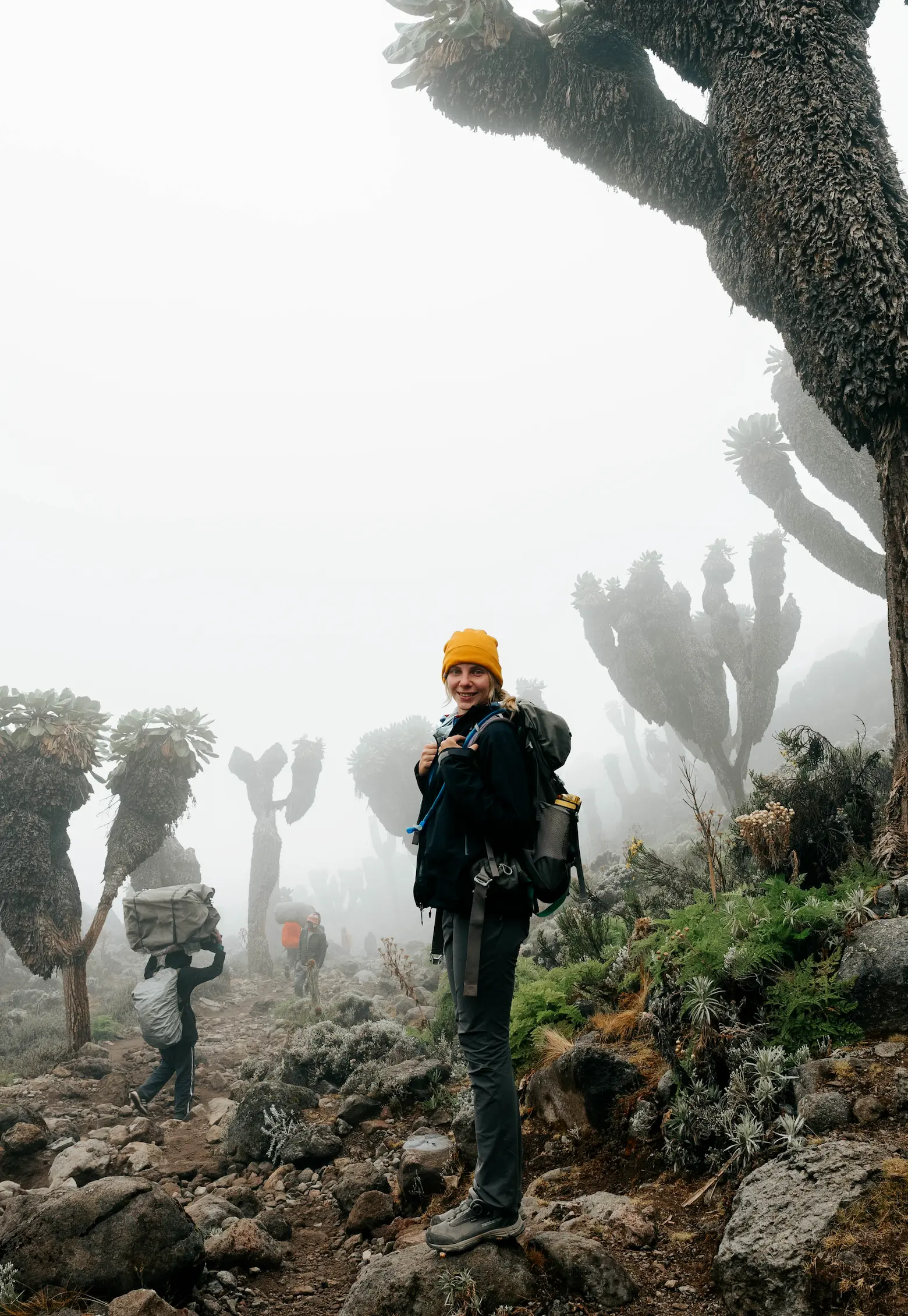 Mt Kilimanjaro is located on its own private reserve on the eastern border of Tarangire National Park, within easy driving distance of both Lake Manyara National Park and the Ngorongoro Crater. 
